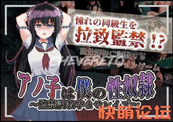 [调教RPG/XY汉化] アノ子は僕の性奴隷 〜監禁調教孕ませレイプ〜 V1.01 [PC+安卓] [1.68G/百度]