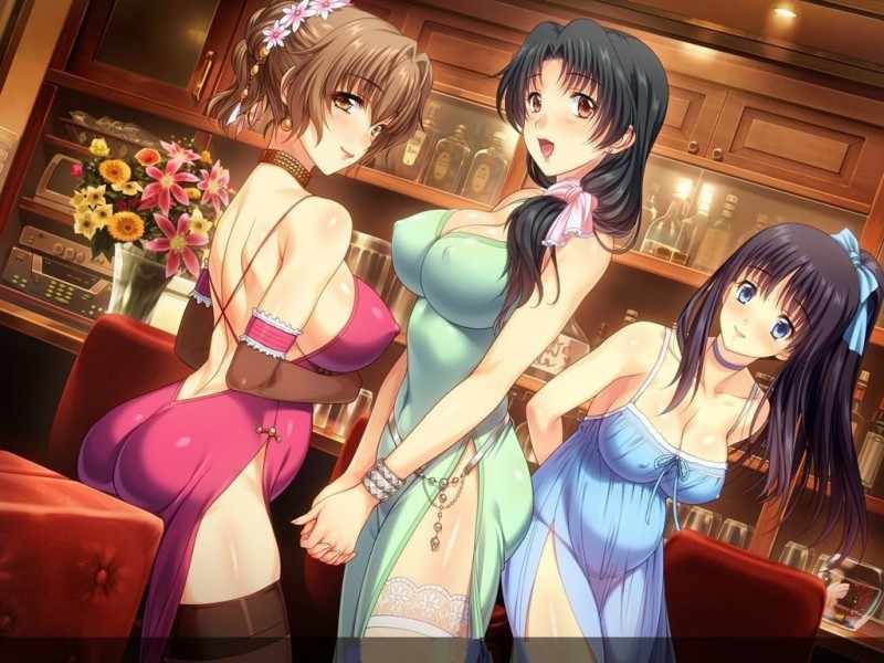 [SLG/汉化/热门合集/动态] 妻中蜜-艳妻淫记1~3+番外[存档+动画]妻みぐい [6.7G/度盘]